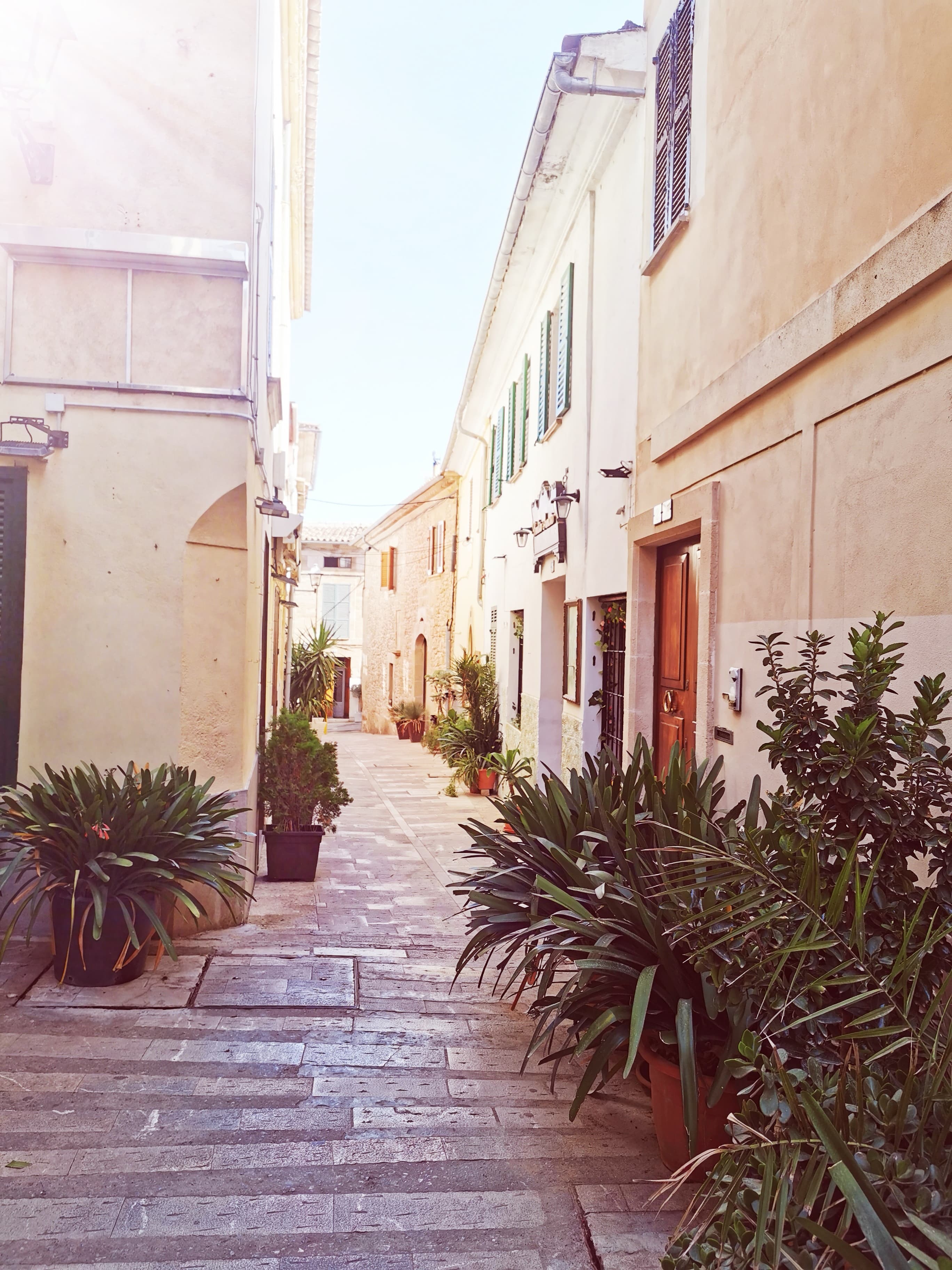 Imagine d'illustration